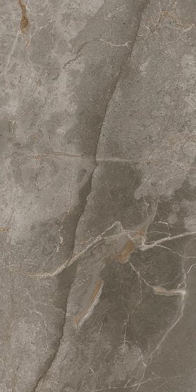 Купить Atlas Concorde Allure Grey Beauty Ret 60x120 
