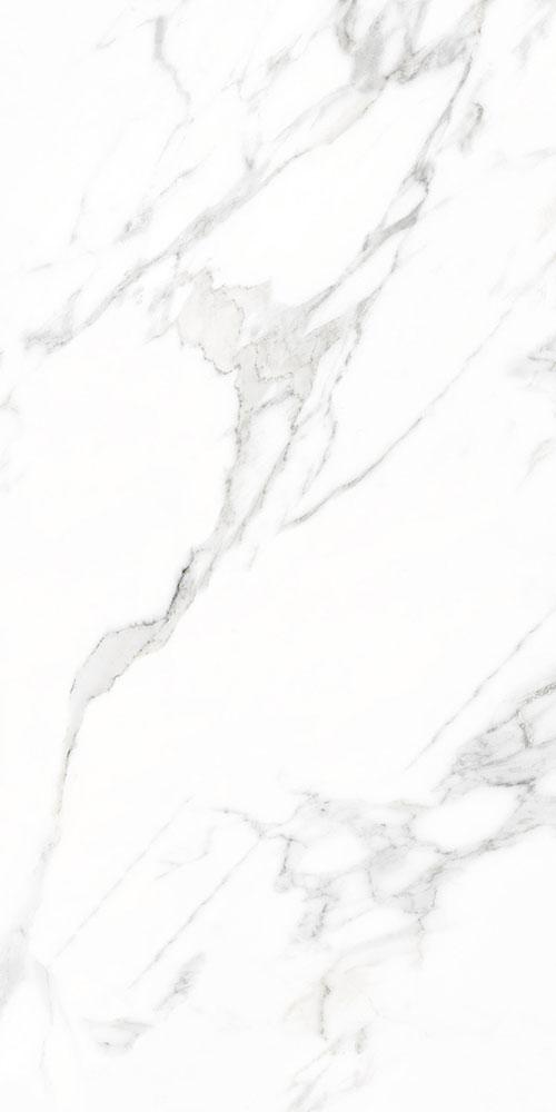 Купить Vives Marblelous Doney-R Blanco Pulido 59,3x119,3 