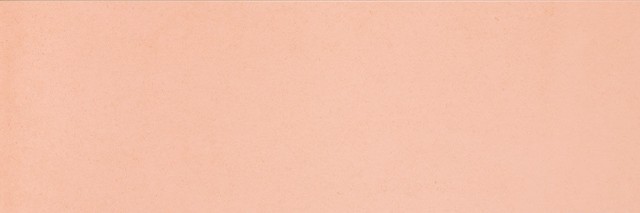 Купить Rocersa Nordic Coral 25x75 