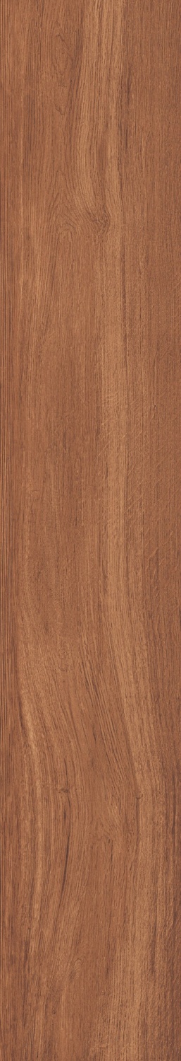Купить Ametis Selection Eucalyptus SI02 Непол. Рект.  19.4×120 
