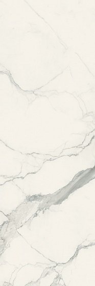 Купить Rex I Classici Di Rex Statuario Soft 6 мм 80х240 