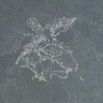 Купить Aquila Fuligo 49х49 