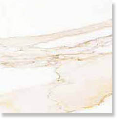 Купить Porcelanosa Calacata Gold G-78 59.6х59.6 