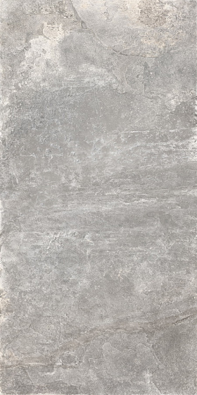 Купить RHS Ardesie Grey Ret 60x120 