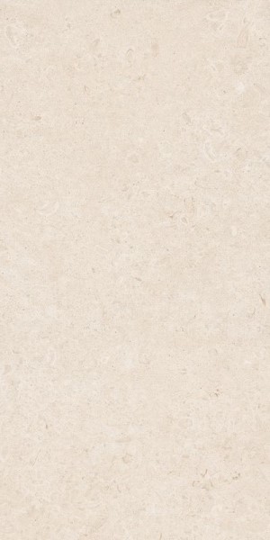 Купить Ragno Eterna Blanco Rett. 60x120 