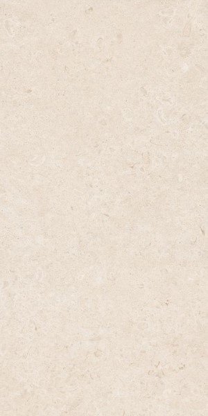 Купить Ragno Eterna Blanco Rett. 60x120 