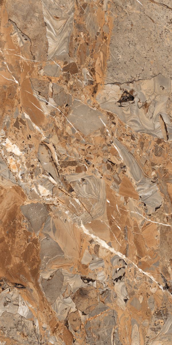 Купить Maimoon Breccia Fantastico Brown Hi.Glossy  80×160 