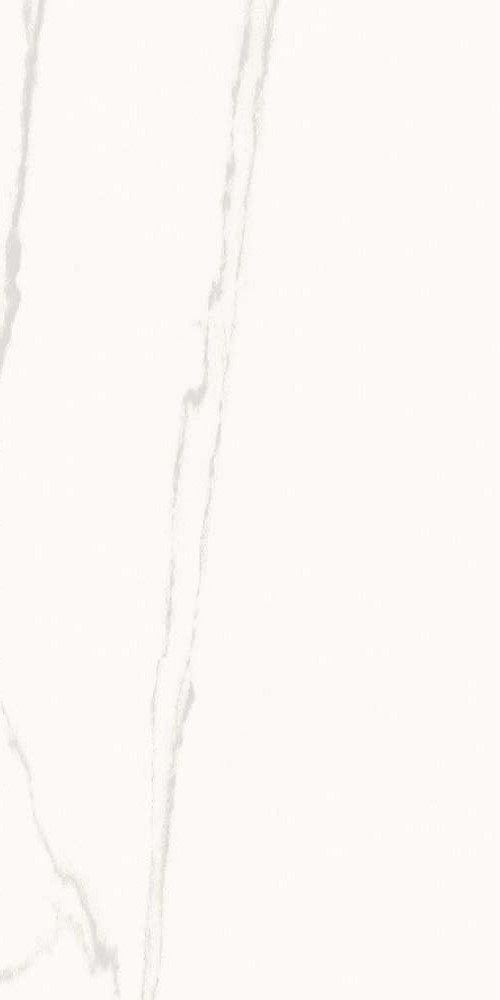 Купить Kutahya Statuario Rectified Matt 60x120 