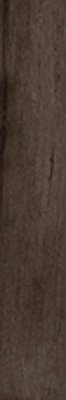 Купить Cerdomus Antique Wenge Fondi Nat. Rett 20х120 