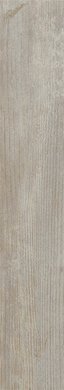 Купить Roberto Cavalli Signoria Decape Nat Rett. Firma 16,5х100 