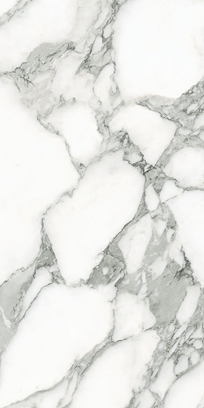 Купить Emil Tele Di Marmo Selection Arabescato Corchia Lapp 60x120 