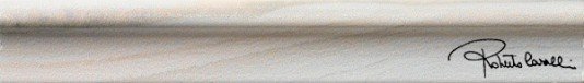 Купить Roberto Cavalli AgataTorello Azzurro Firma 5х25 