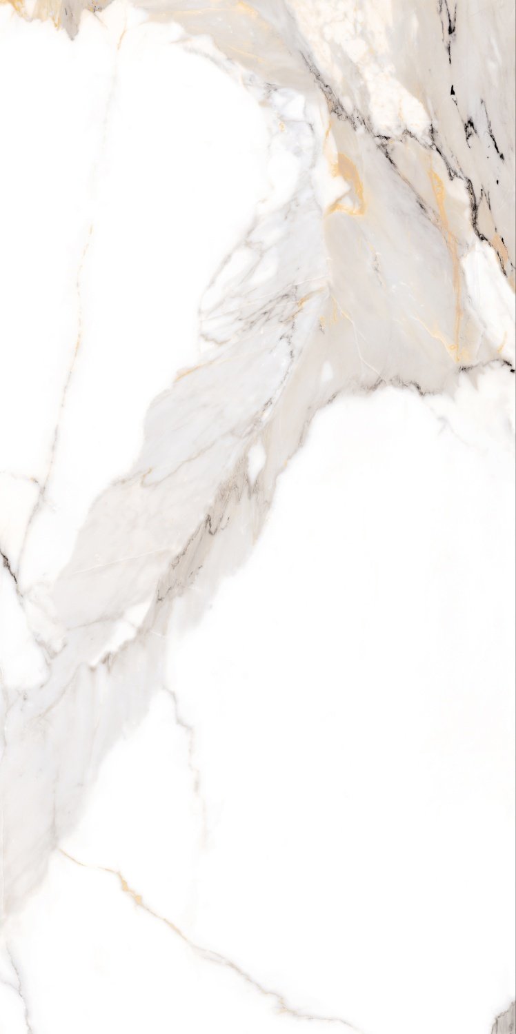 Купить NT Ceramic Bright And Shiny Calacatta Light Grey Mat NTT9120M  60×120 