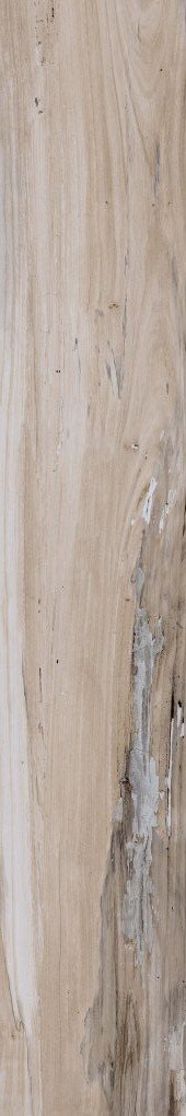 Купить ABK Nest Beige 20х120 