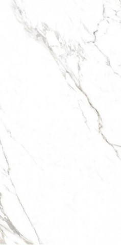 Купить RHS Canova Statuario Ret 60x120 