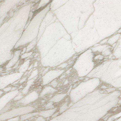 Купить Rex Ceramiche I Bianchi di Rex Calacatta Luc 80х80 