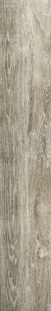 Купить Roberto Cavalli Precious Wood P.W.Jungle Rt 20х120 