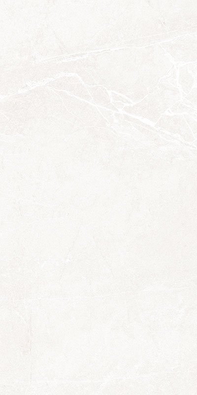 Купить Geotiles Persa Blanco 60x120 