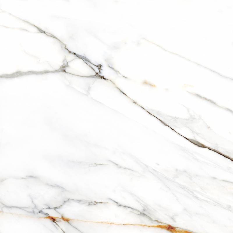 Купить Colorker Calacatta Gold White 120x120 
