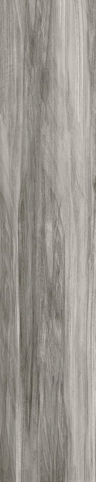 Купить Halcon Hensa Gris Brillo Rect 22,5х119,5 