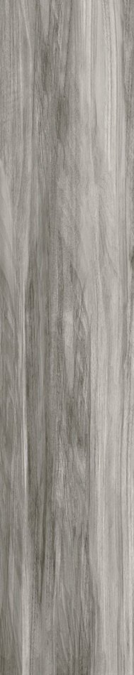 Купить Halcon Hensa Gris Brillo Rect 22,5х119,5 