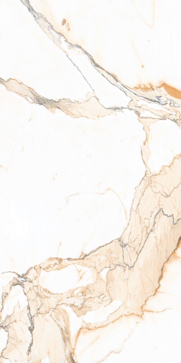 Купить Maimoon Carving 12161 R  60×120 
