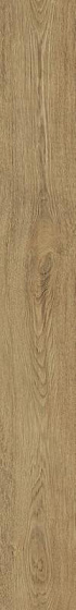 Купить Atlas Concorde Arbor Natural Ret 18,5х150 