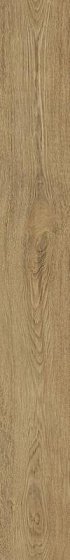 Купить Atlas Concorde Arbor Natural Ret 18,5х150 