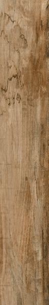 Купить Vives World Woods Veneto-R Canela 19,2x119,3 
