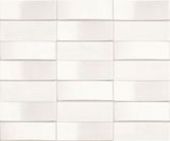 Купить Viva Dolceamaro Mosaic White Line 25х30 