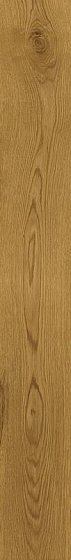 Купить Atlas Concorde Exence Amber 18,5х150 