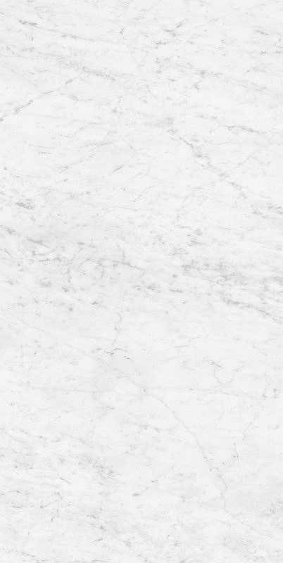 Купить Grespania Marmorea Carrara 60х120 