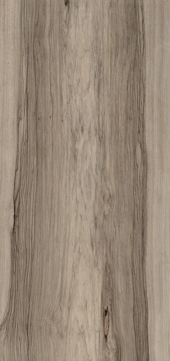 Купить Fioranese Sfrido Frake Tortora 60х120 