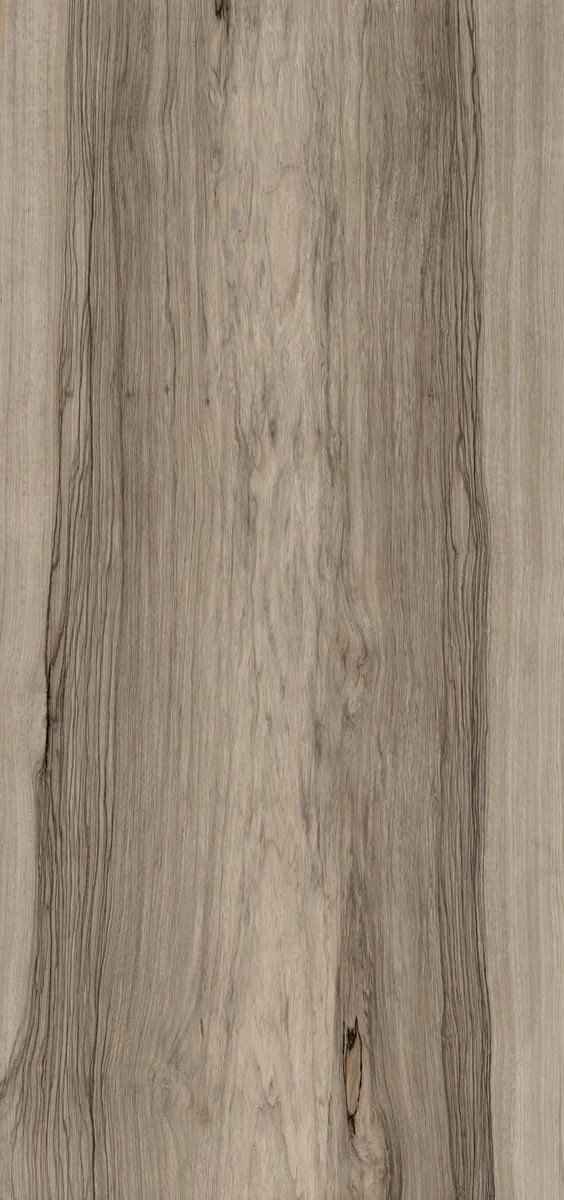 Купить Fioranese Sfrido Frake Tortora 60х120 