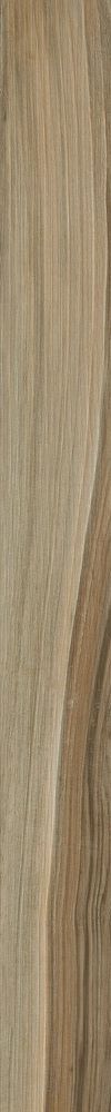 Купить Cerdomus Savanna Honey 10X100 