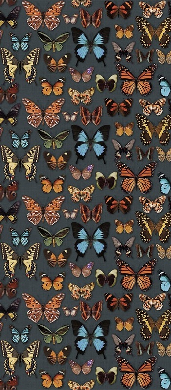 Купить Wide&Style Papillon 120x278 