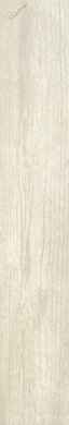 Купить Roberto Cavalli Signoria Frassino Lapp. Rett. Firma 16,5х100 