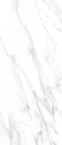 Купить Neodom Titanium Calacatta Classico 120x278 