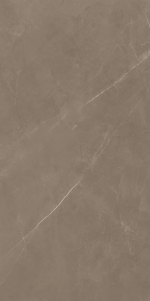 Купить Marjan Tile Stone Pietra Active Gray 60x120 