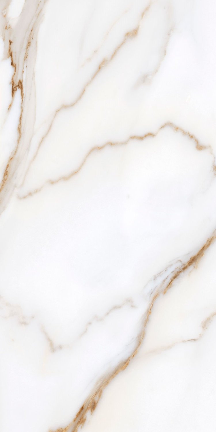 Купить Gayafores Rect Calacatta Gold 59,1x119,1 