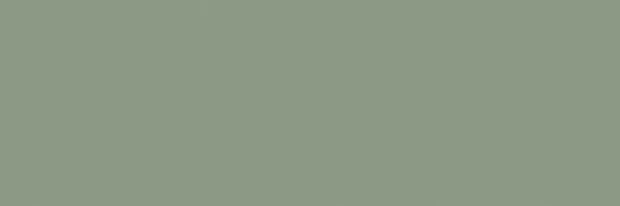 Купить Sanchis Colours Forest RC 33x100 