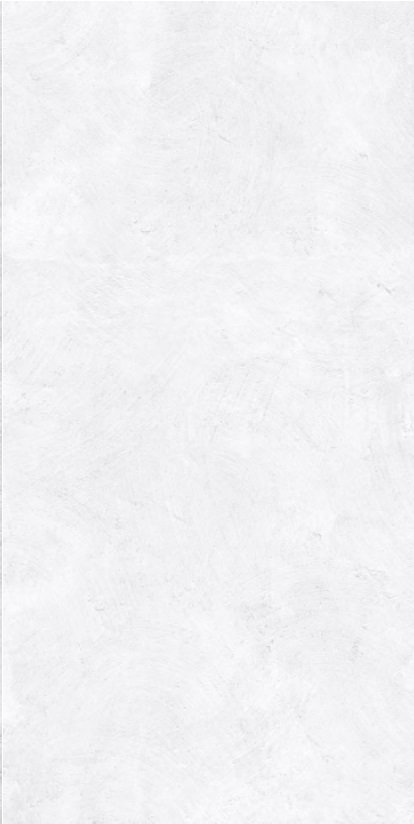 Купить Apavisa North White Spatulato 49,75x99,55 