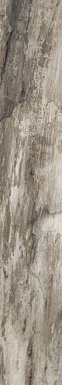 Купить Emil Ceramica Petrified Tree Grey Bark 15х90 