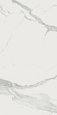 Купить Rex I Classici Statuario Chain A 6mm Glossy 120x240 