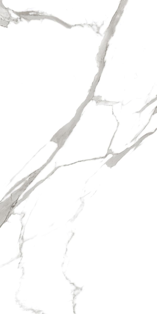Купить Maimoon Satuario Bianco Glossy  60×120 