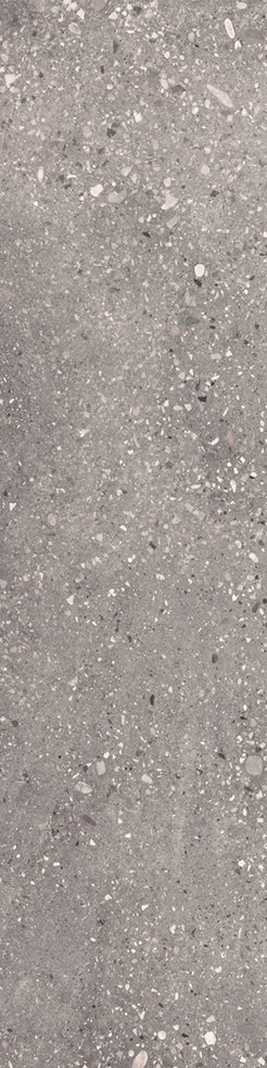 Купить Apavisa Wind Grey Natural 24,75x99,55 
