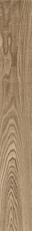 Купить Pamesa At. Oregon Roble 20x120 