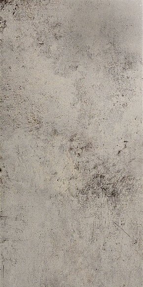Купить Ceracasa Evolution Gris 49,1х98,2 Rect. 