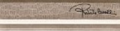 Купить Roberto Cavalli Tanduk Torello Multicolor Firma 5x19,8 