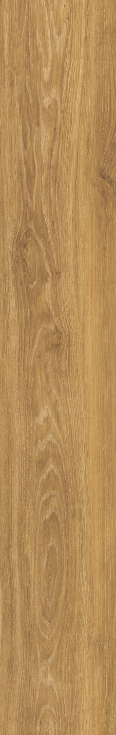 Купить Peronda Verbier Honey AS C/R 19,5x121,5 